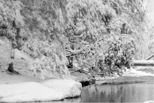 Clarion River in Winter